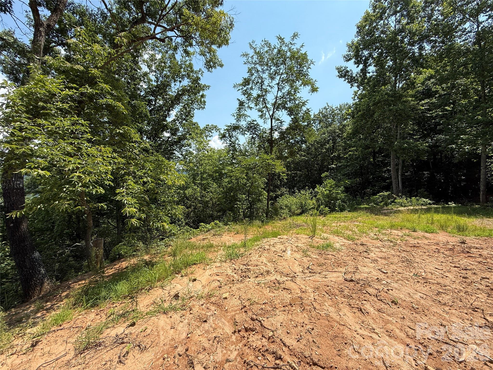 337 Lucas Path Drive, Unit 69 Purlear, NC 28665 - Photo 20 of 44 a view of a yard with swimming pool
