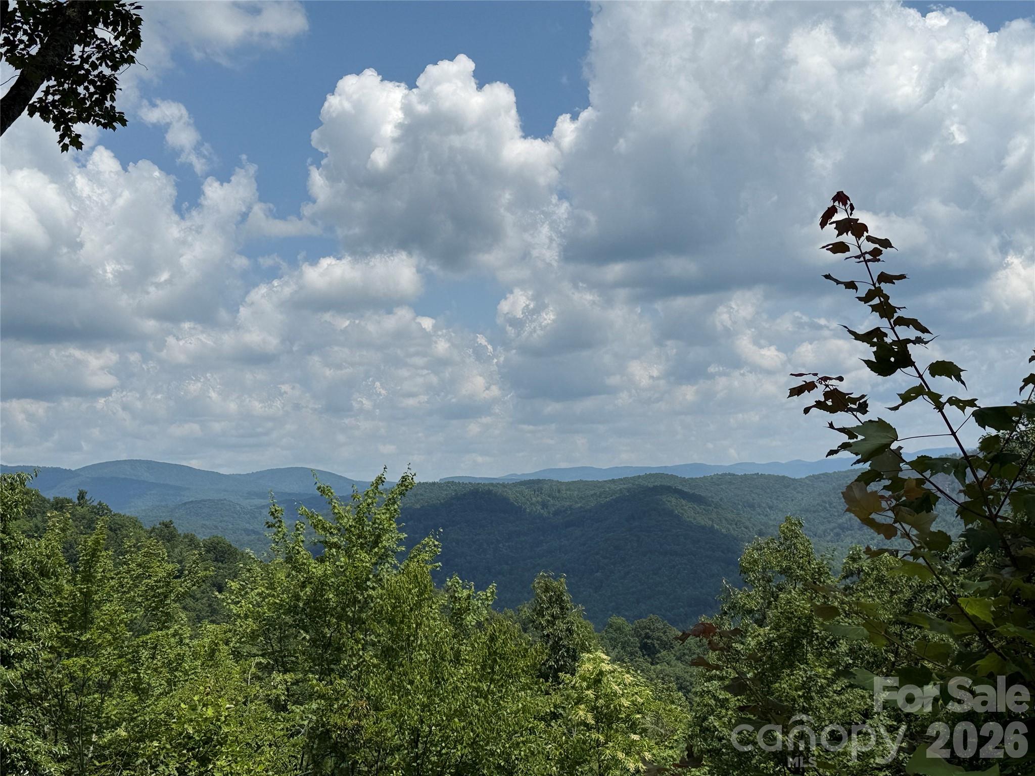 337 Lucas Path Drive, Unit 69 Purlear, NC 28665 - Photo 2 of 44