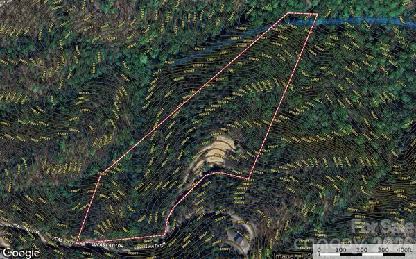 a view of plant in a yard