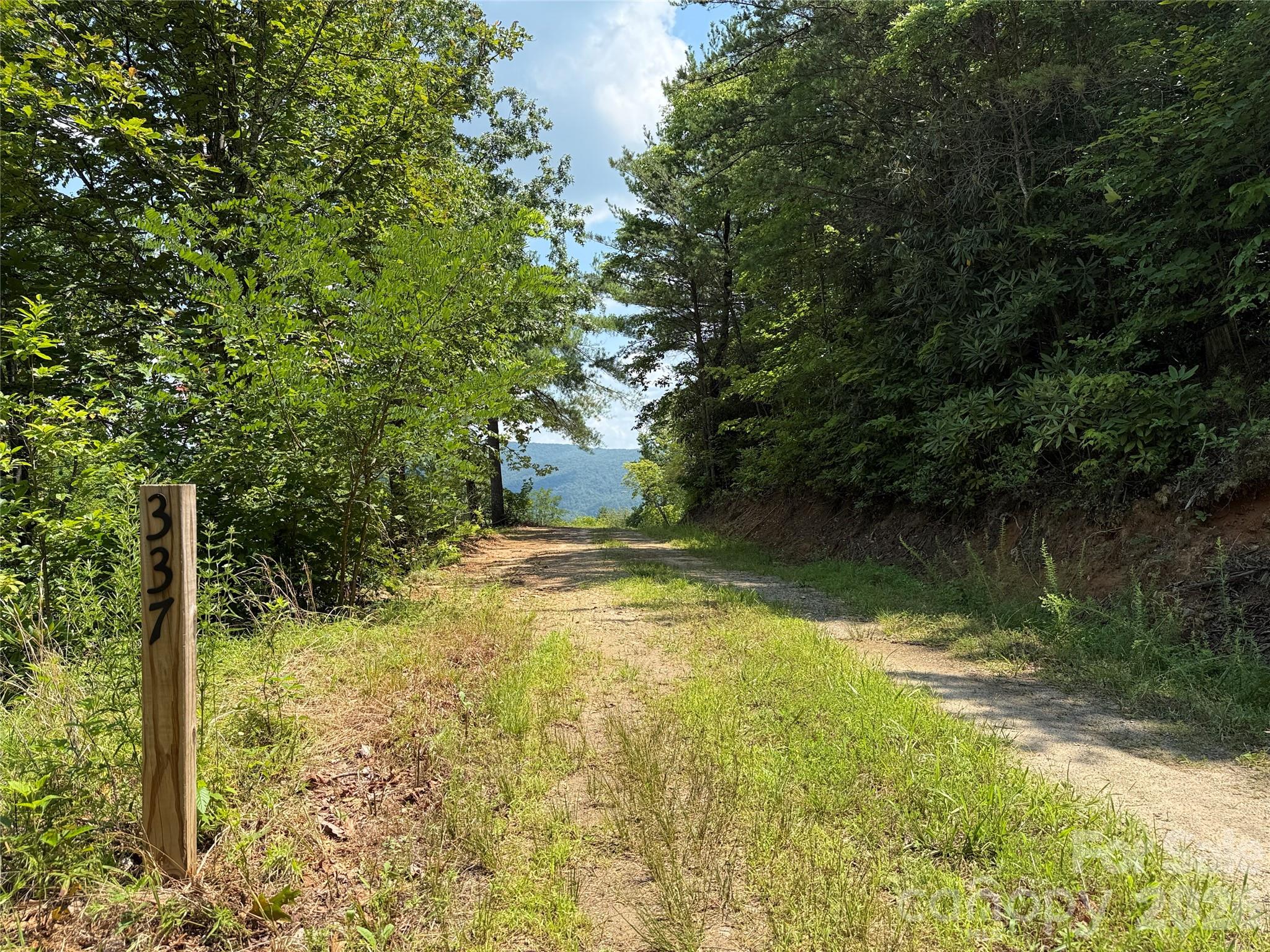 337 Lucas Path Drive, Unit 69 Purlear, NC 28665 - Photo 3 of 44 a view of a yard