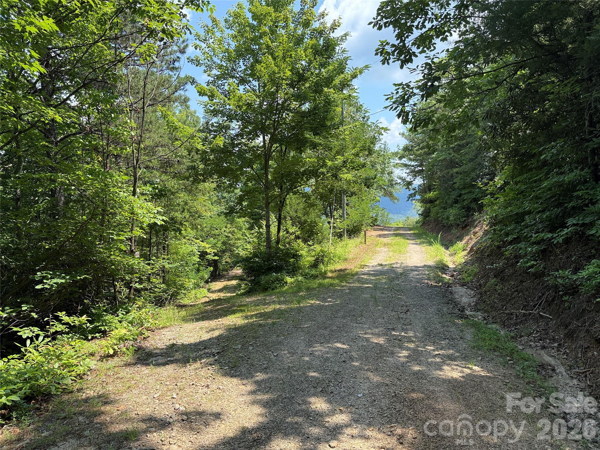 337 Lucas Path Drive, Unit 69 Purlear, NC 28665 - Photo 5 of 44 a view of outdoor space and yard
