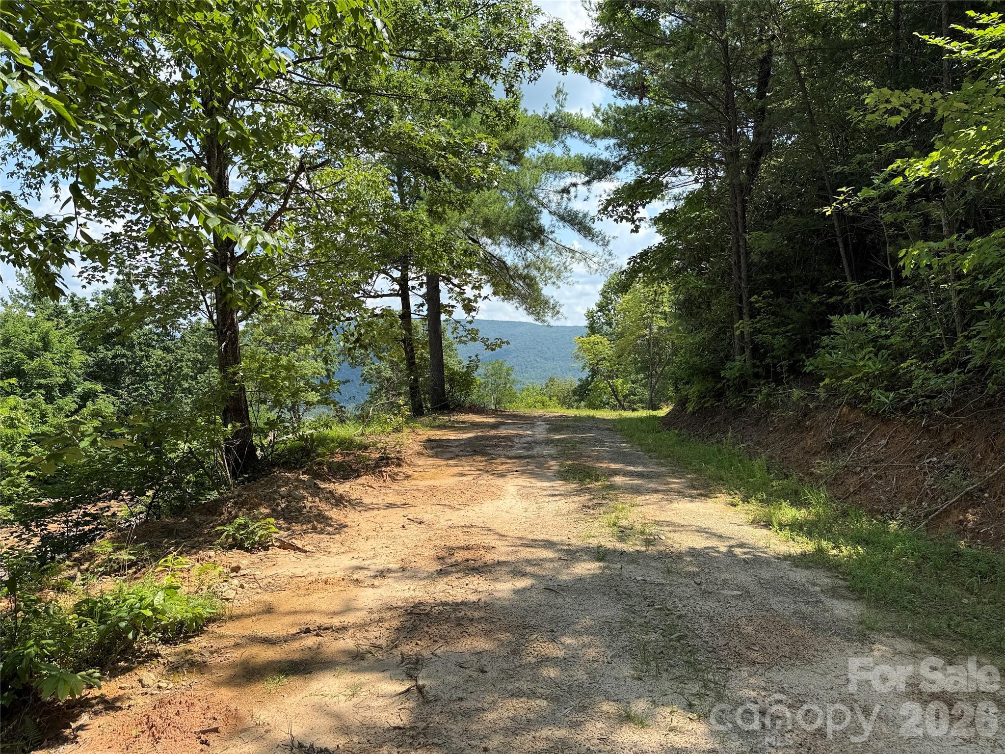 337 Lucas Path Drive, Unit 69 Purlear, NC 28665 - Photo 6 of 44 a view of outdoor space with trees all around
