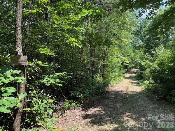 a view of a tree in a field of a tree