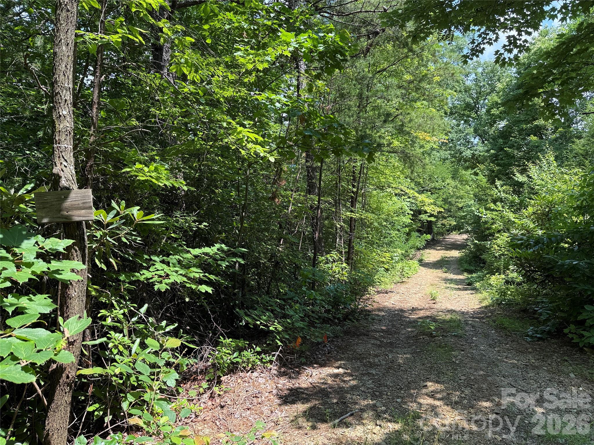 337 Lucas Path Drive, Unit 69 Purlear, NC 28665 - Photo 7 of 44 a view of a forest that has a tree