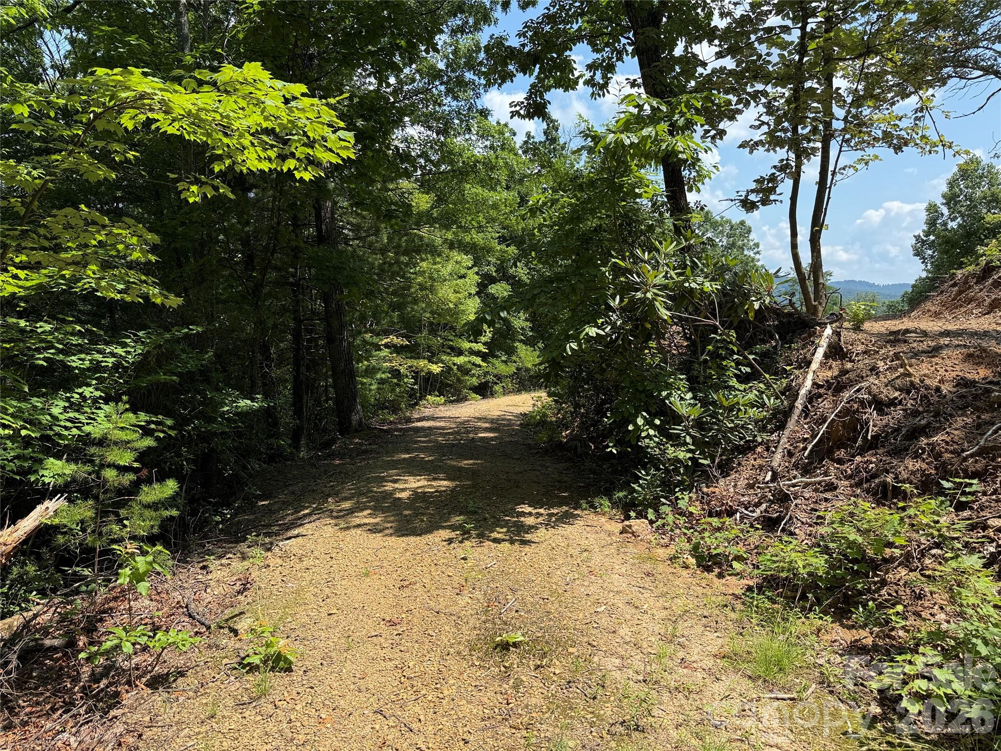 337 Lucas Path Drive, Unit 69 Purlear, NC 28665 - Photo 8 of 44 a view of a yard with plants and trees