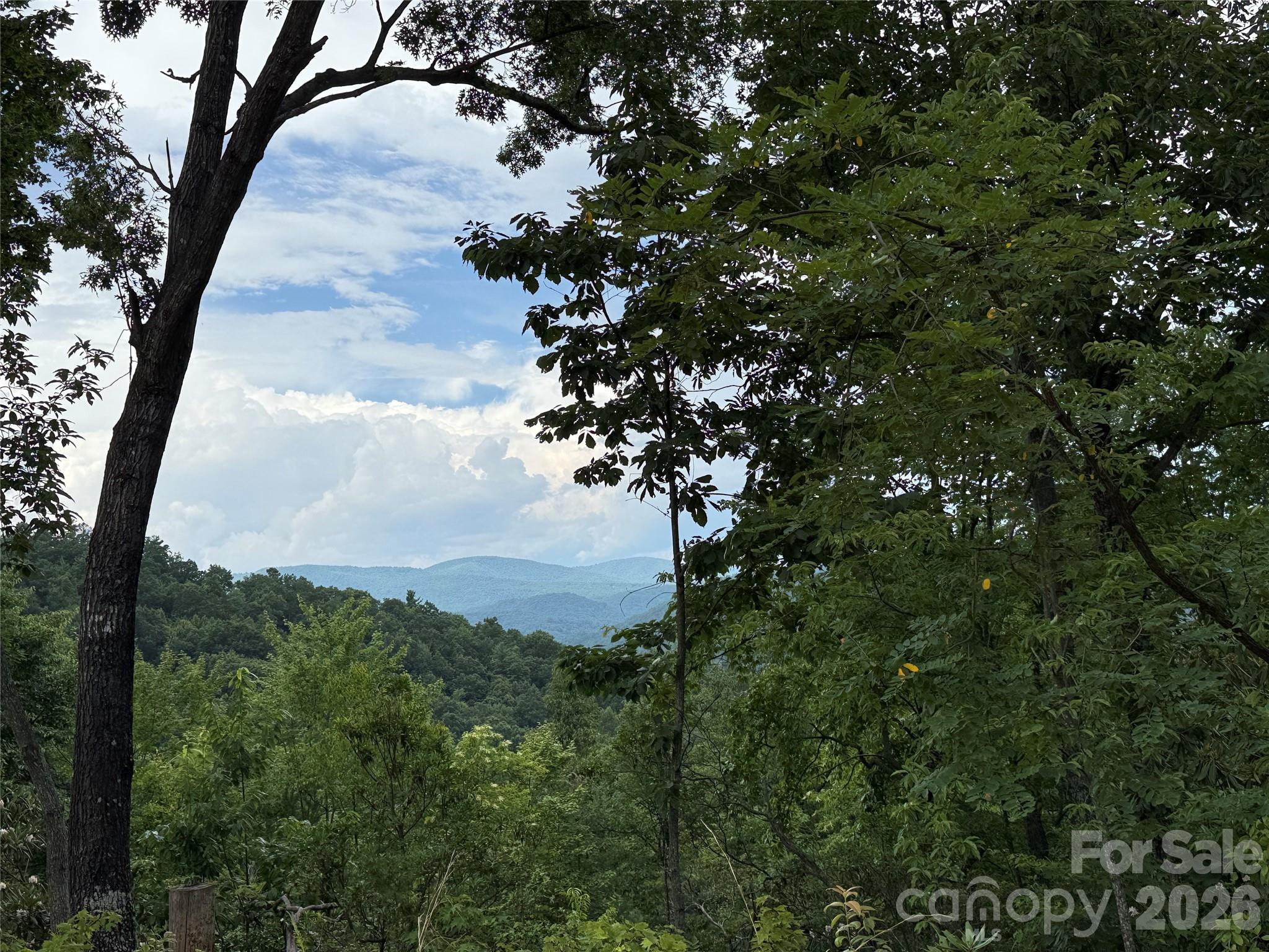337 Lucas Path Drive, Unit 69 Purlear, NC 28665 - Photo 9 of 44 a view of a tree in a field of a tree