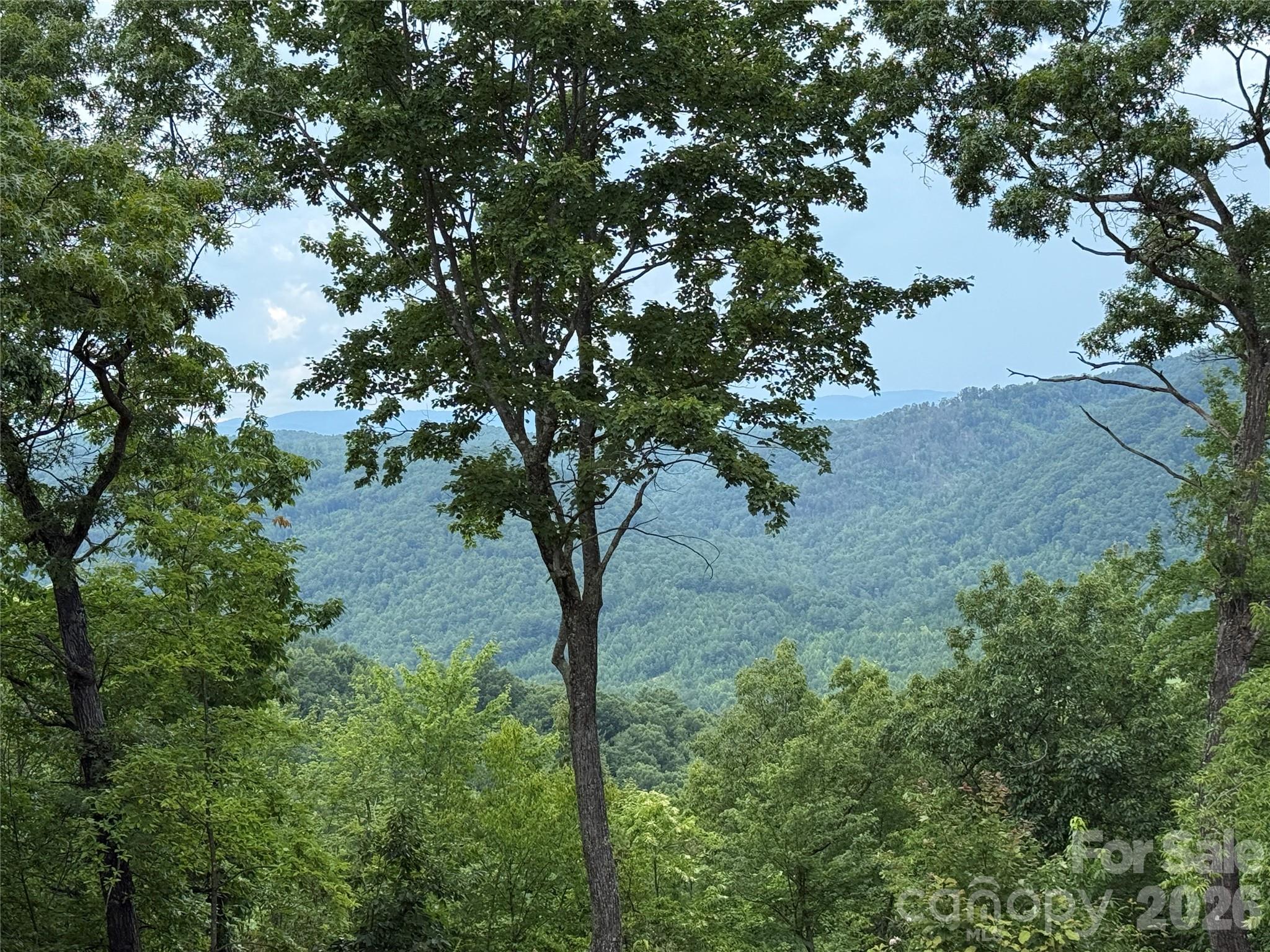337 Lucas Path Drive, Unit 69 Purlear, NC 28665 - Photo 10 of 44 a view of tree