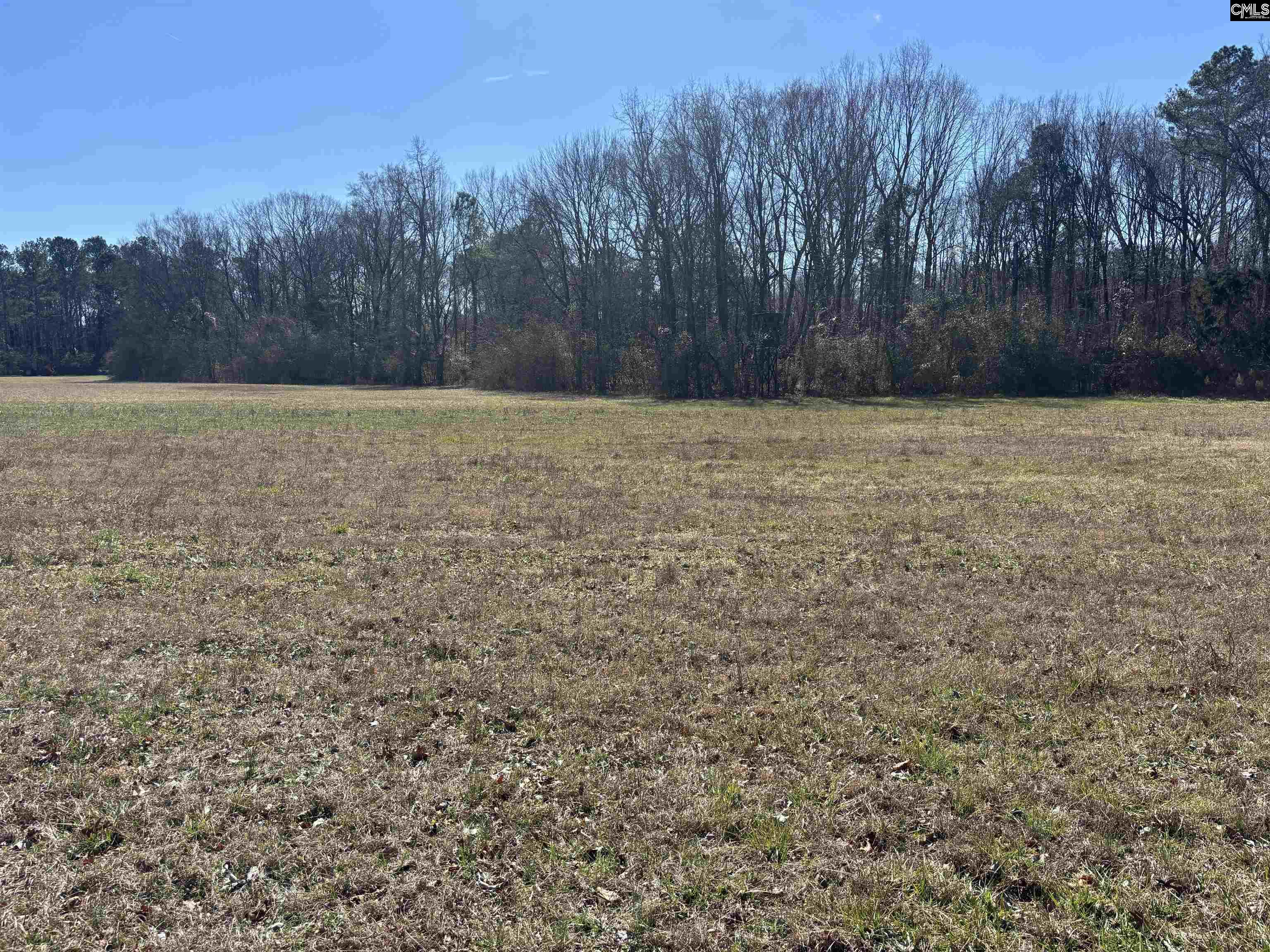 0 Bethany Road Saluda, SC 29138 - Photo 18 of 24