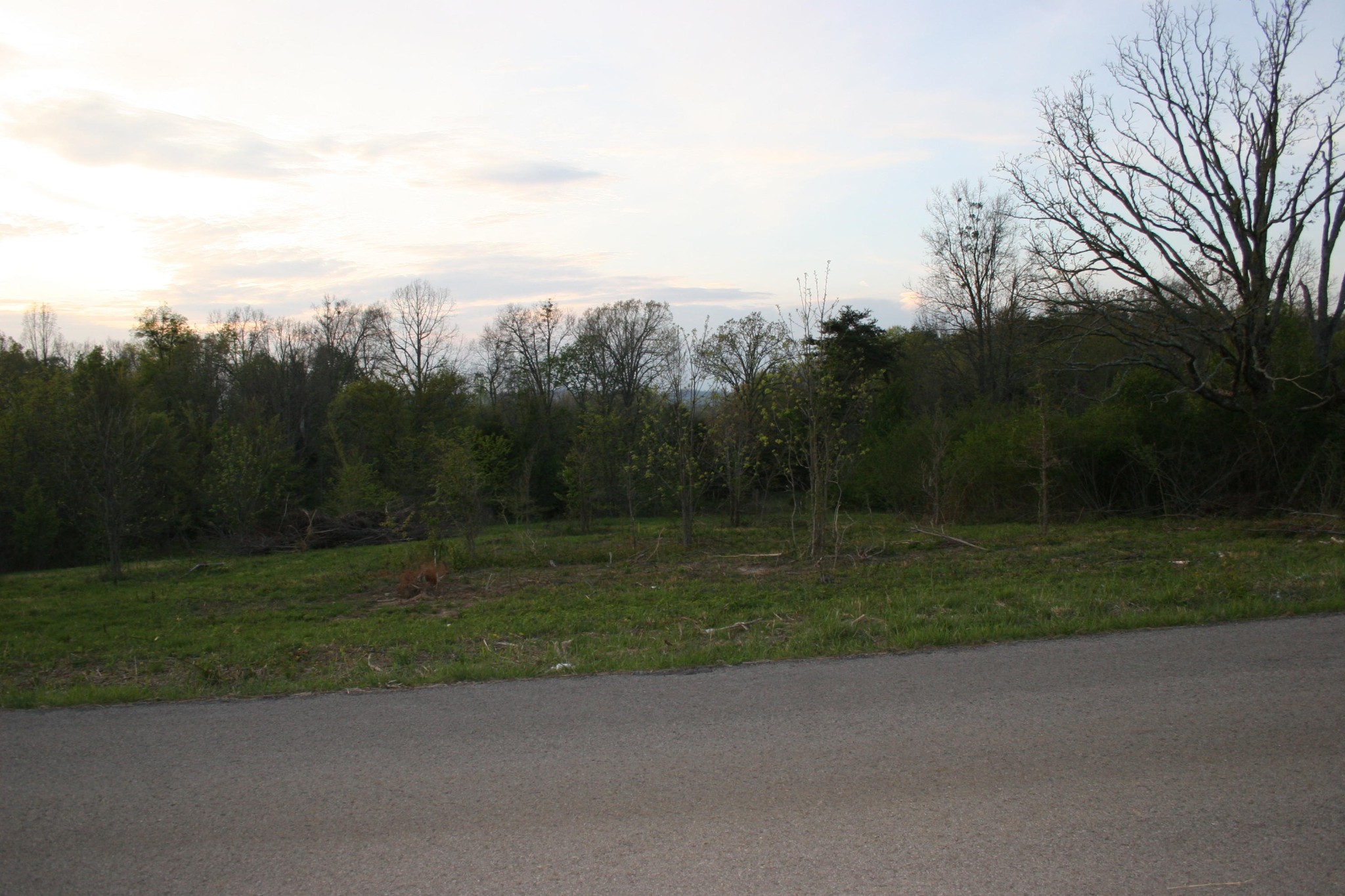 0 Gamble Road Madisonville, TN 37354 - Photo 8 of 13 Gallery Image 8