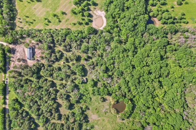 a close up of a plant in a garden