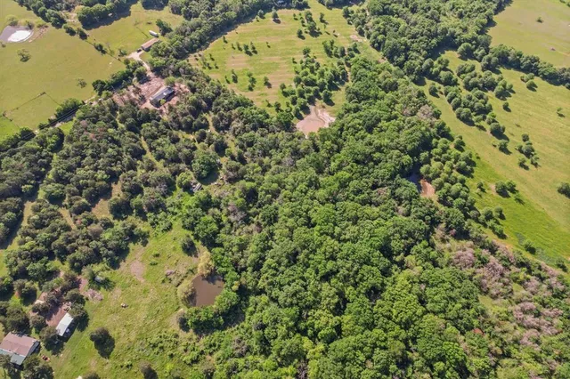 a view of a green field with lots of bushes