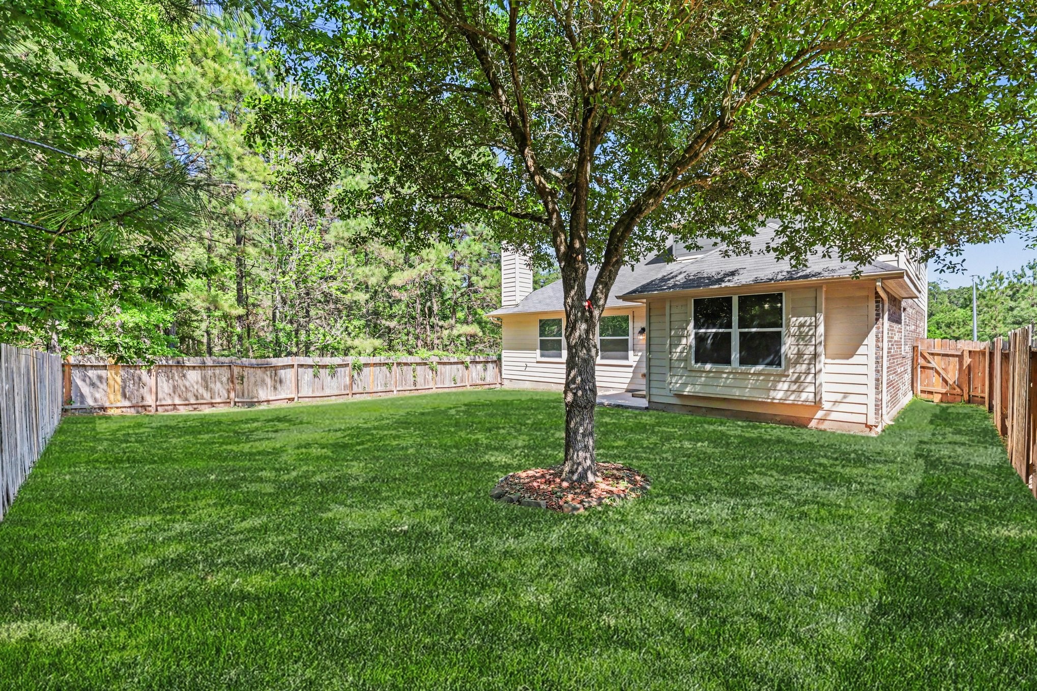 4921 Summer Ridge Drive Conroe, TX 77303 - Photo 5 of 25