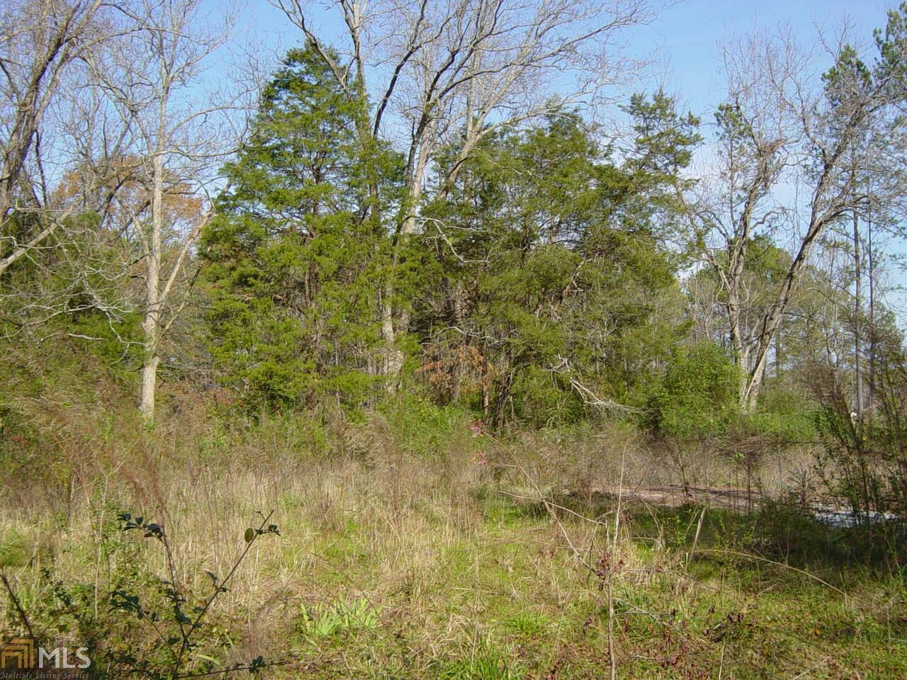 1011 L L Wyatt Road Union Point, GA 30669 - Photo 1 of 1 a view of a lake with an outdoor space and trees