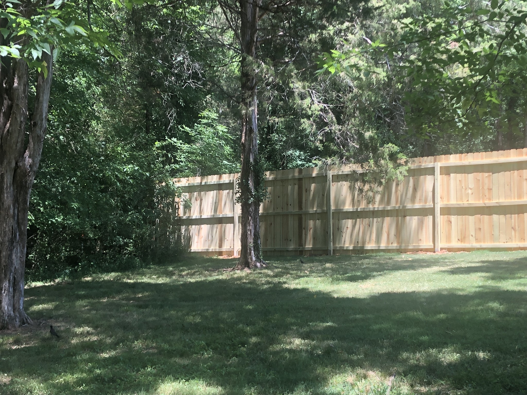 242 Ridgewater Way Mount Juliet, TN 37122 - Photo 15 of 24 a view of swimming pool with a big yard and large trees