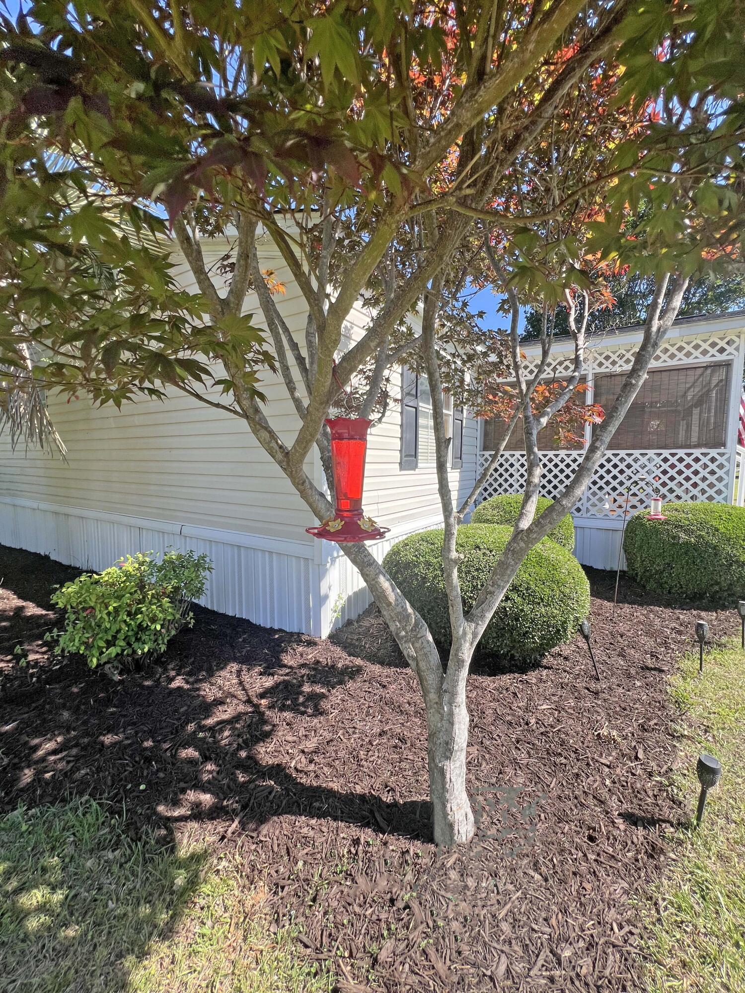 1135 Ralph Bell Road Summerton, SC 29148 - Photo 10 of 36 Manicure Landscaping