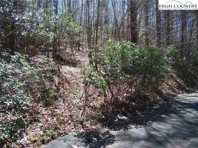 a plant view in yard