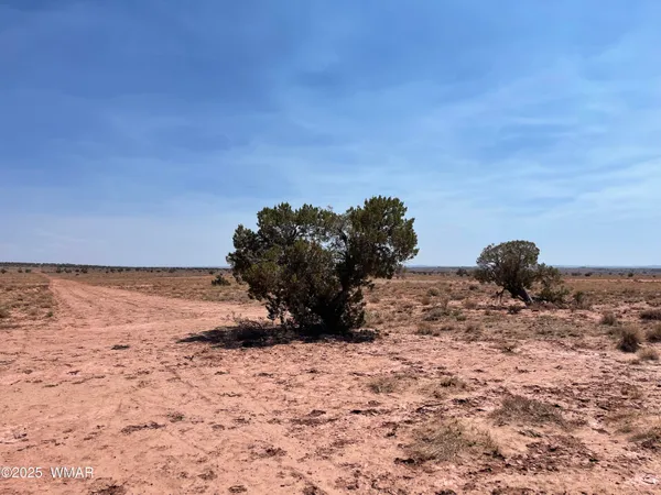 $25,000 | 8191 East Concho Highway, Unit PARCEL B, Snowflake, AZ 85937