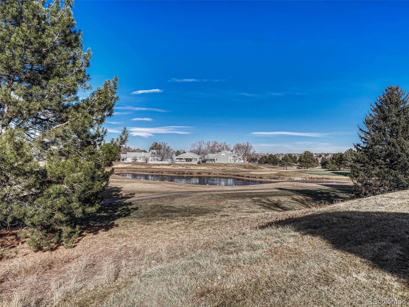 9 Stonehaven Court Highlands Ranch, CO 80130 - Photo 30 of 40 a view of a town with mountains in the background