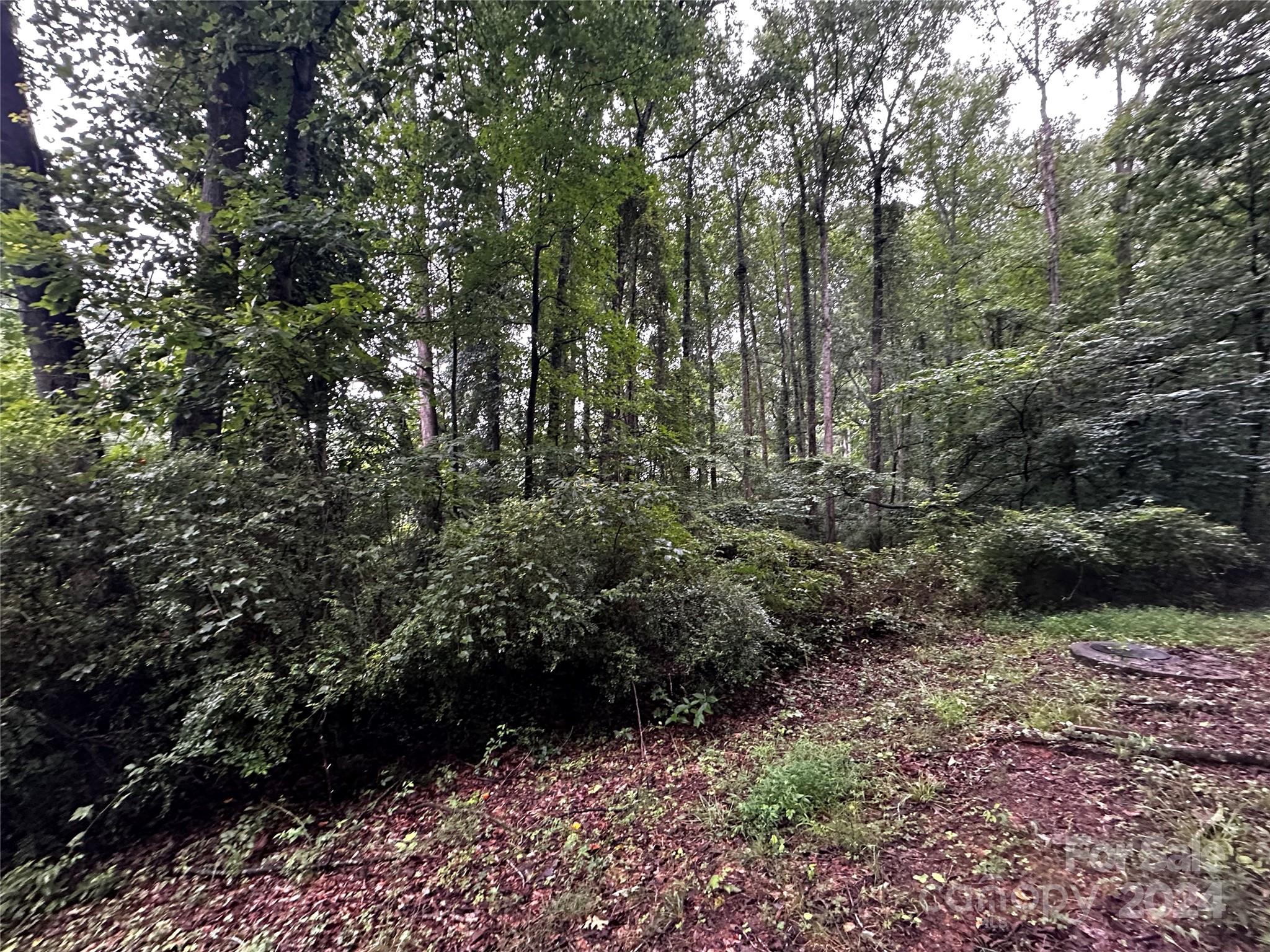 0 Lower Stone Church Road Rockwell, NC 28138 - Photo 4 of 10 Gallery Image 4
