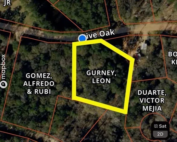 $75,000 | Tbd Live Oak Drive, Plantersville, TX 77363