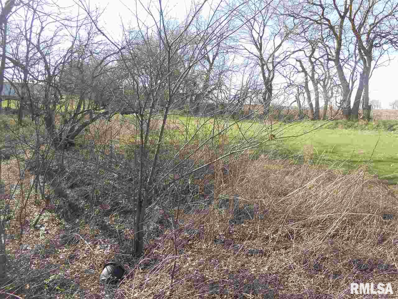 0 County Lacon, IL 61540 - Photo 1 of 1 Gallery Image 1