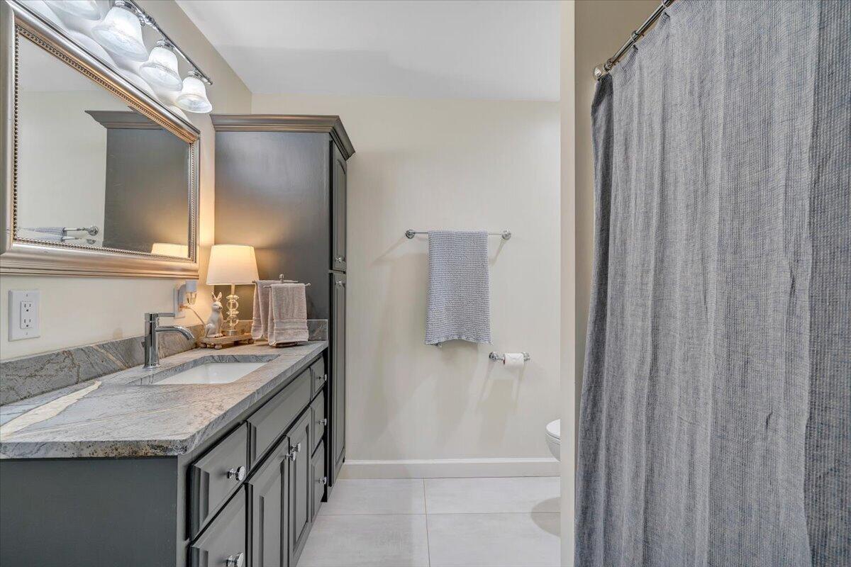 110 Windward Drive Moneta, VA 24121 - Photo 82 of 134 Bathroom