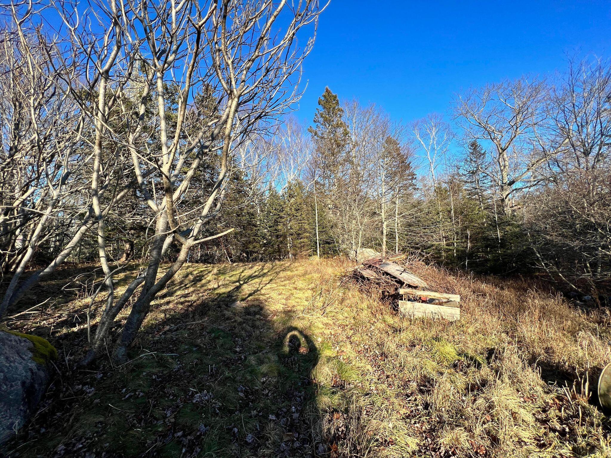 M10-l8-2 Sunshine Road Deer Isle, ME 04627 - Photo 2 of 4 Morey 4