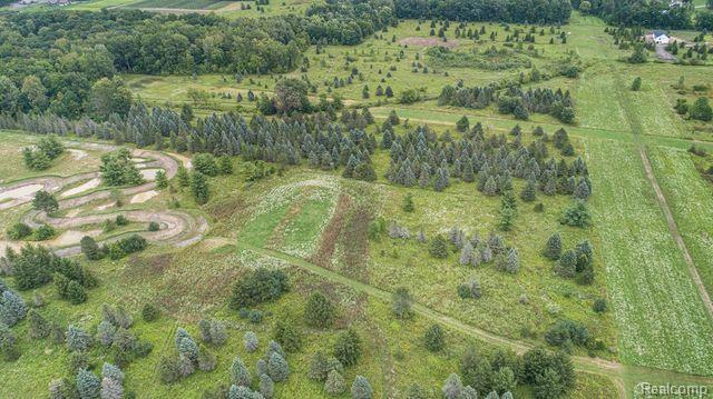 Lot 1 East Clyde Road Howell, MI 48855 - Photo 7 of 29