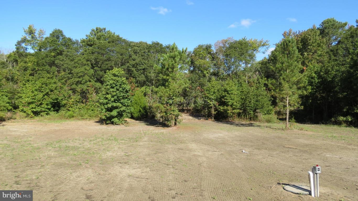 26844 Siloam Road Salisbury, MD 21801 - Photo 19 of 27 Gallery Image 19