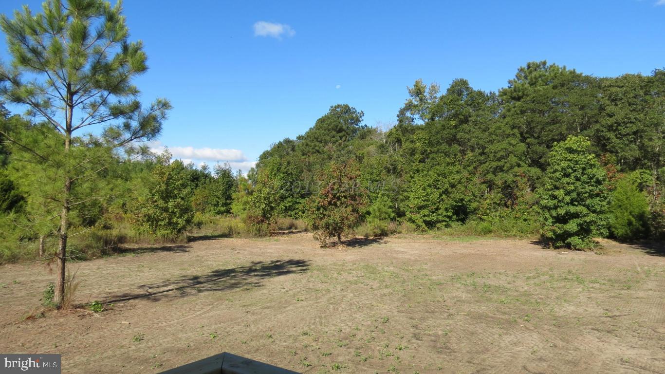 26844 Siloam Road Salisbury, MD 21801 - Photo 20 of 27 Gallery Image 20