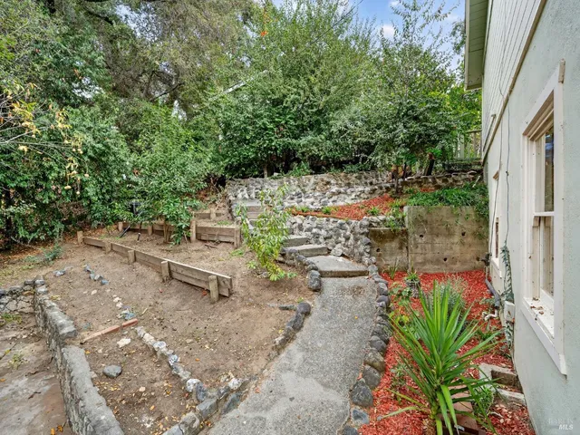 a view of a backyard with plants and a garden
