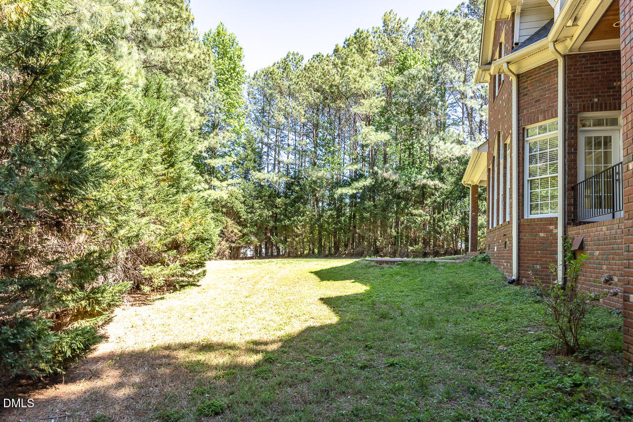 4004 Frontenac Court Apex, NC 27539 - Photo 53 of 61 a view of yard with green space