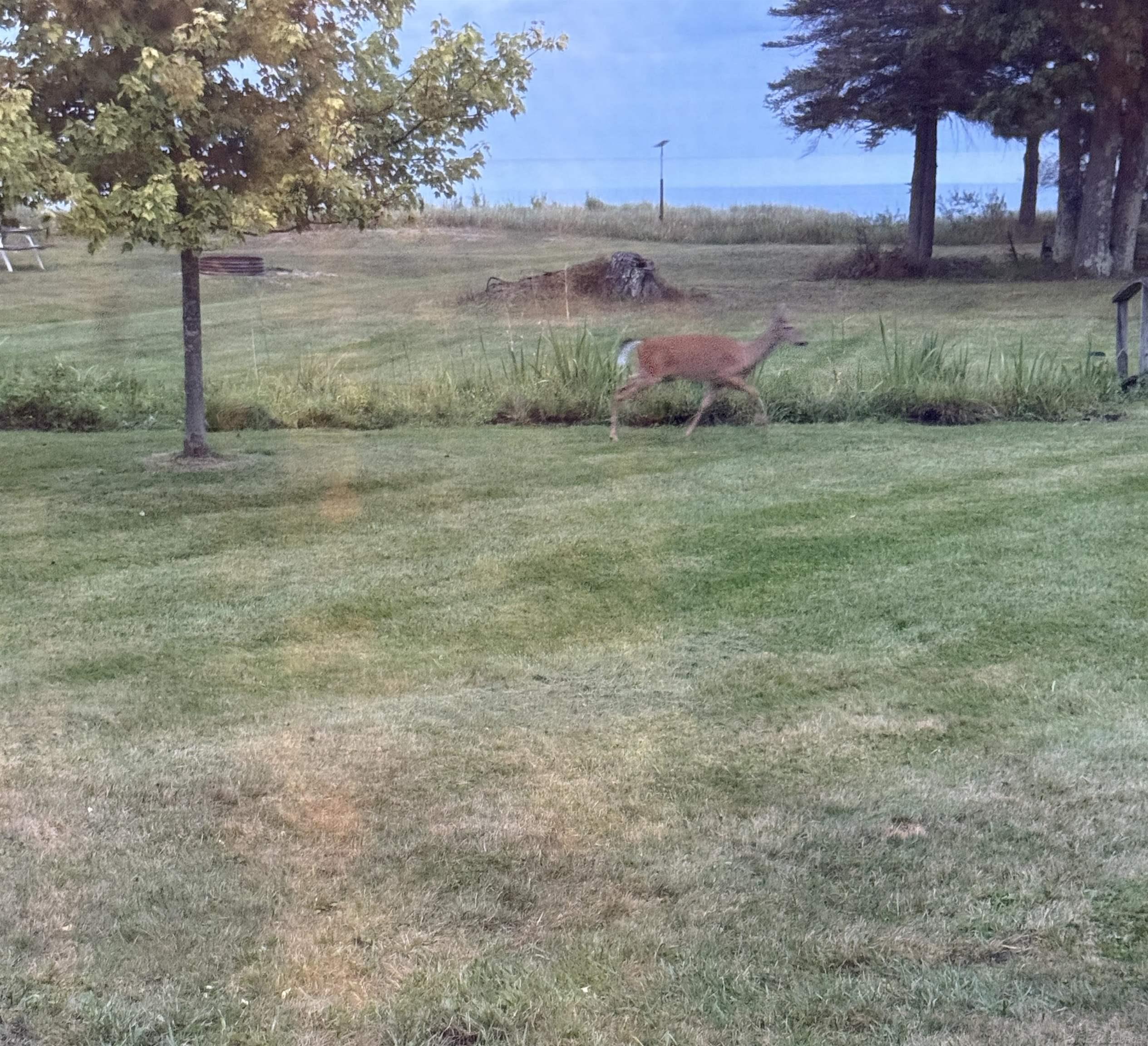 2125 Mckechnie Road Harrisville, MI 48740 - Photo 57 of 61 50212341-acf407d9-5c2e-43c4-8195-d51d96a0a61a.JPG