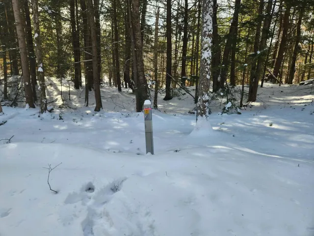 $19,900 | 42 Cedar Drive, Unit 130 LOT 11, Gilmanton, NH 03237