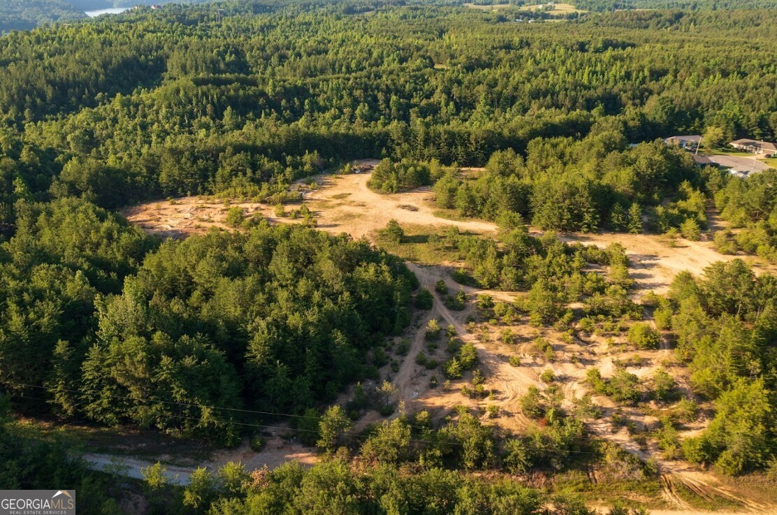 0 Gilmore Mine Road, Unit TRACT A/B Cottondale, AL 35453 - Photo 16 of 18