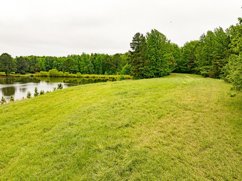 0 Poplar Grove Cemetery Road Henning, TN 38041 - Photo 34 of 40 Expansive grassy landscape featuring a tranquil pond, abundant mature trees, and natural vegetation