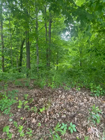 $80,000 | 6477 Water Stone Court, Newburgh, IN 47630