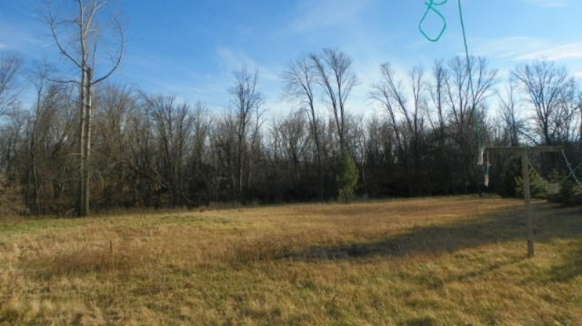 27909 Longnecker Road Mendon, MI 49072 - Photo 14 of 17 263-427983yard5