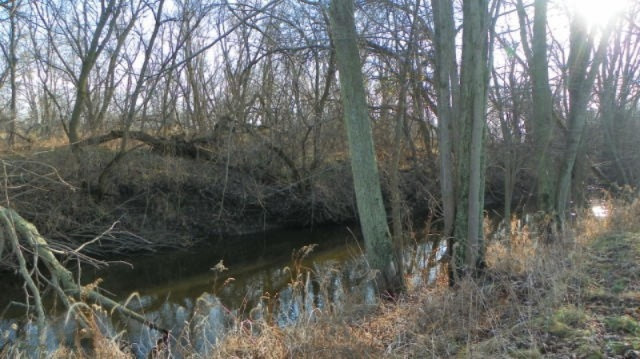 27909 Longnecker Road Mendon, MI 49072 - Photo 16 of 17 263-427983 yard1