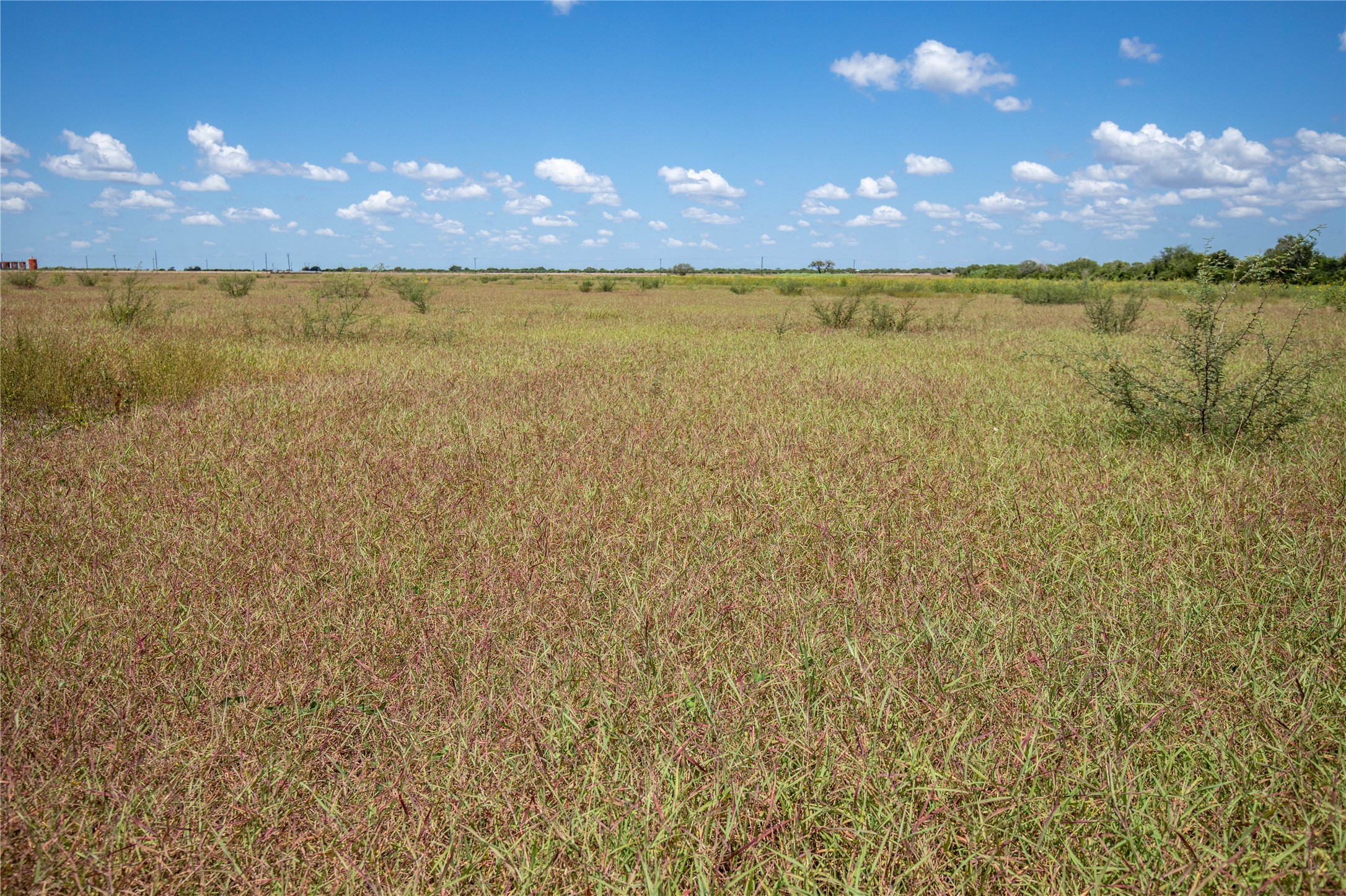 0 County Road 647 Mathis, TX 78368 - Photo 26 of 40 Gallery Image 26