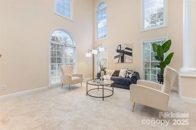a living room with furniture and a potted plant