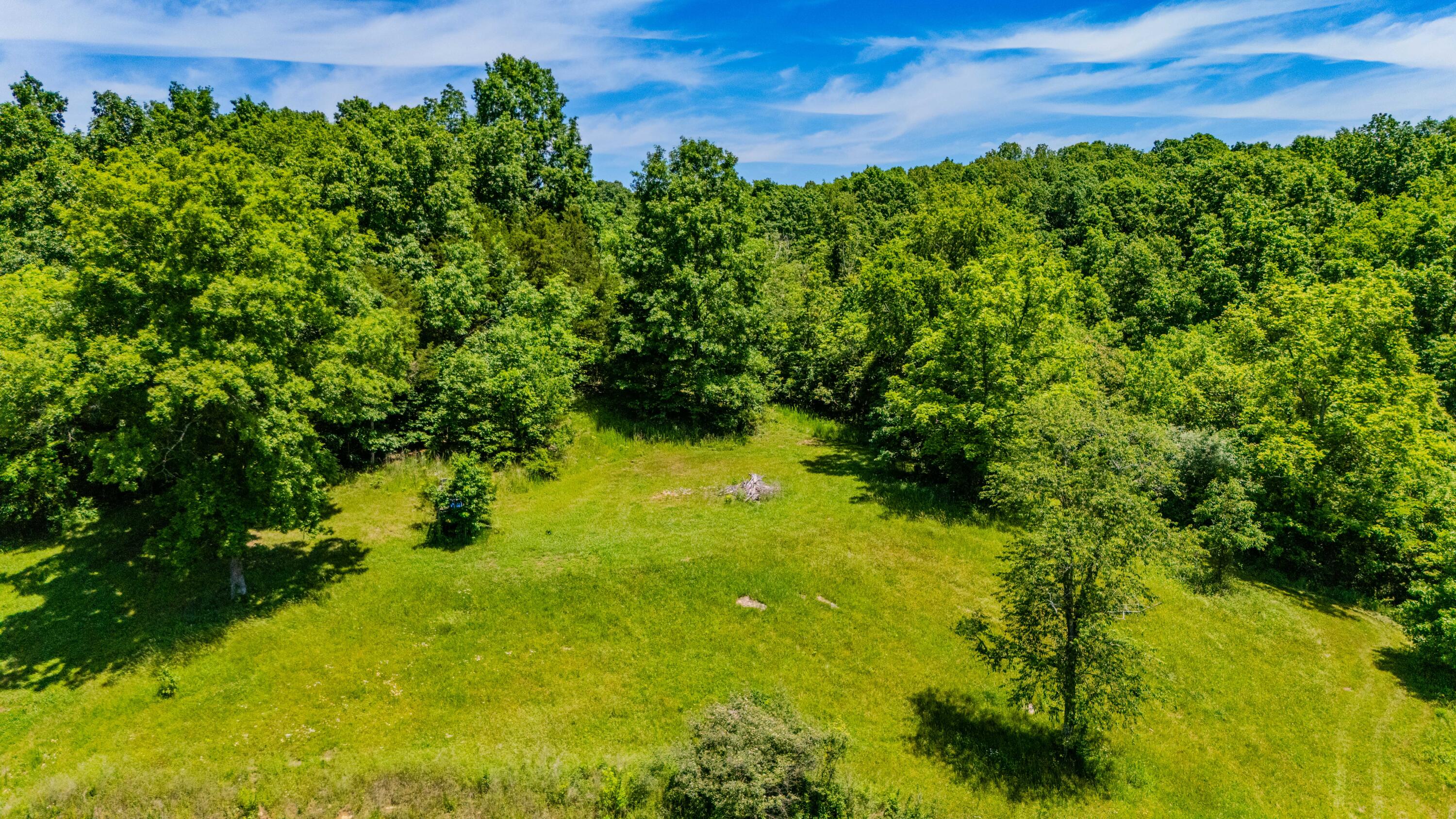 1265 Edmonson Road Lawrenceburg, KY 40342 - Photo 54 of 64 1265Edmonson--19