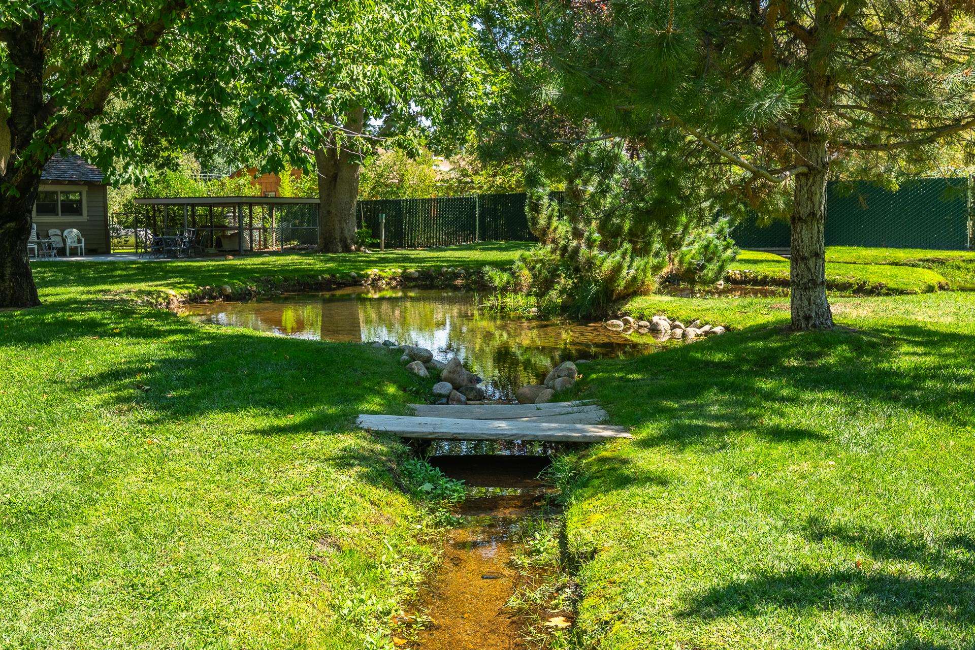 325 Mt Tom Road Bishop, CA 93514 - Photo 29 of 33 a garden with trees in the background