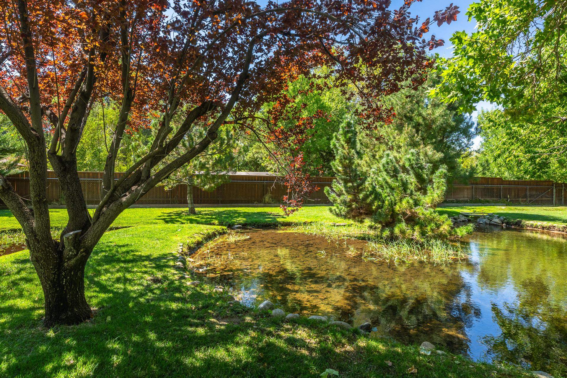 325 Mt Tom Road Bishop, CA 93514 - Photo 32 of 33 a view of a yard with a tree