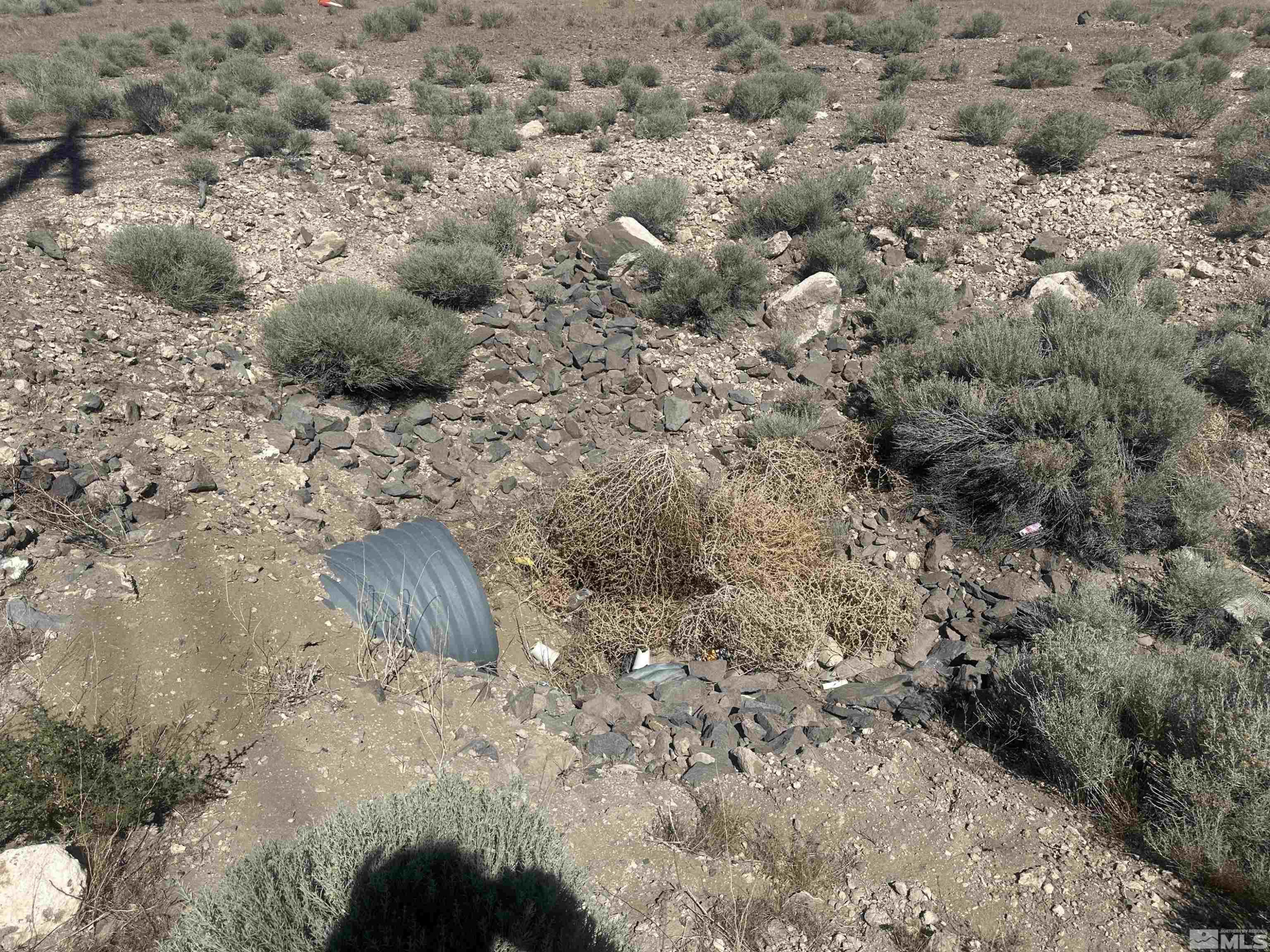 1333 Venice Drive Sparks, NV 89437 - Photo 30 of 40 a view of a dry yard with trees