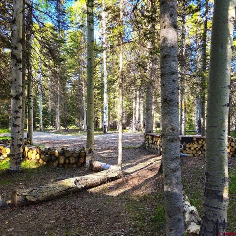 a view of yard with green space and seating