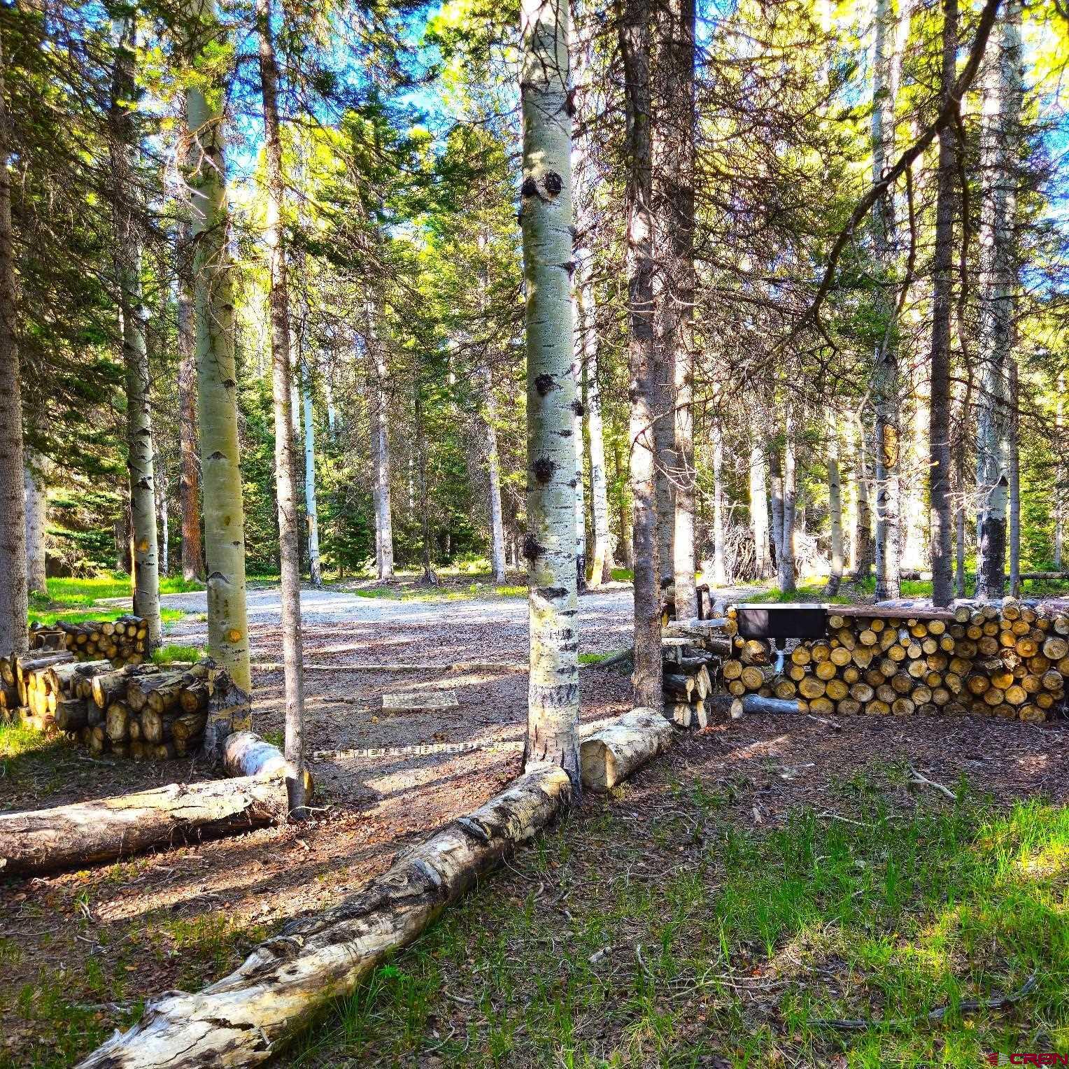 505 Wildflower Drive Cimarron, CO 81220 - Photo 12 of 35 not sure