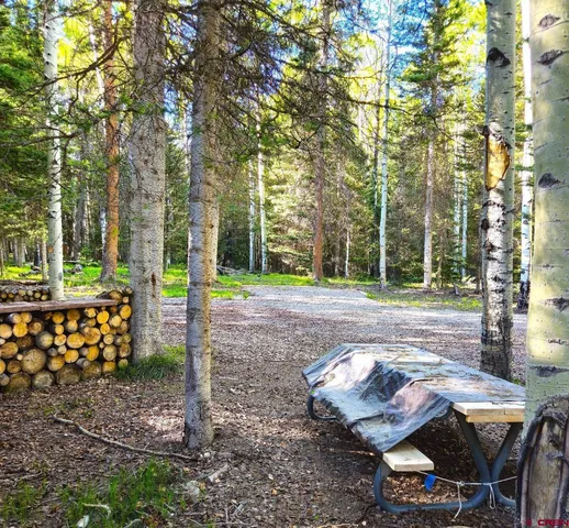a view of a yard with plants and trees