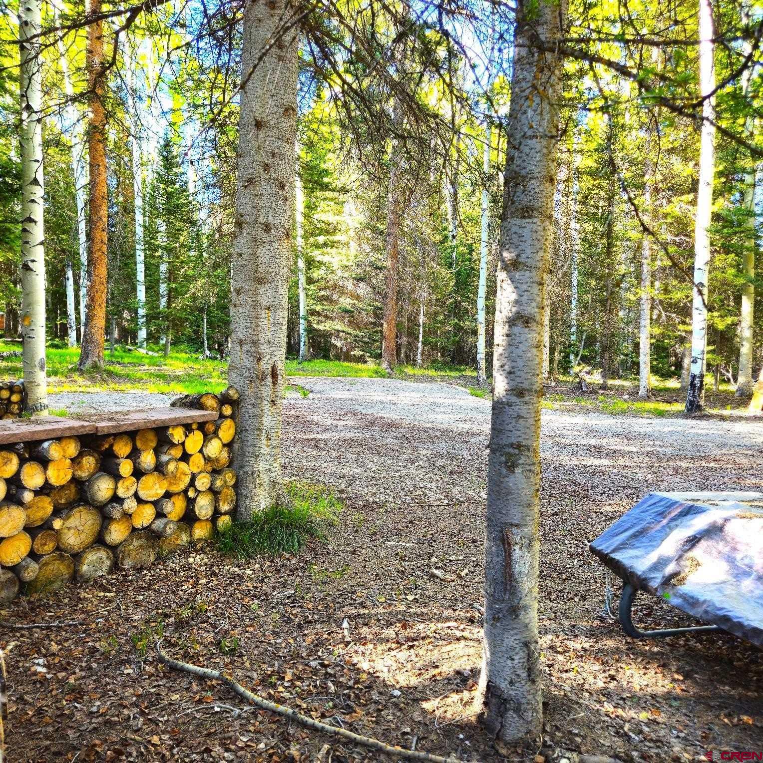 505 Wildflower Drive Cimarron, CO 81220 - Photo 14 of 35 a view of a yard with plants