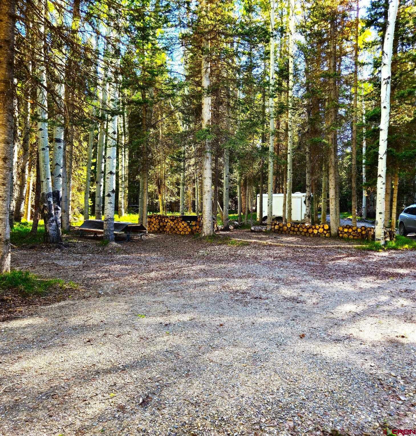 505 Wildflower Drive Cimarron, CO 81220 - Photo 16 of 35 a view of a park with large trees